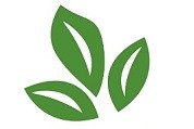Công ty trà thảo dược thái hưng tại Hà Nội