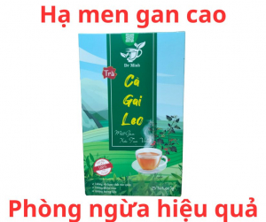 Hộp trà cà gai leo Dr Minh cao cấp