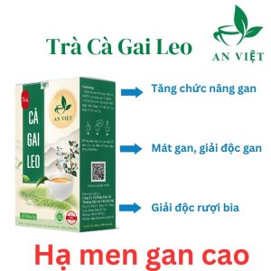 Trà cà gai leo An Việt